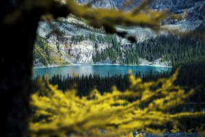 Place in nature